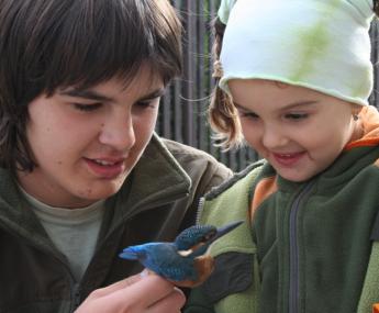 Historie a ekoprogramy Historie a ekoprogramy